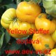 Rajče tyčkové paprikové žluté Yellow Stuffer