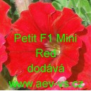 Petunia hybrida Petit F1 Mini Red