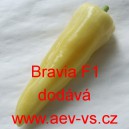 Paprika roční zeleninová hybridní Bravia F1 
