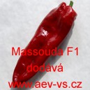 Paprika roční zeleninová hybridní Massouda F1 (Italien Dulce)
