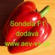 Paprika roční zeleninová hybridní Sondela F1 