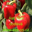 Paprika roční zeleninová Asti Red