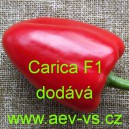 Paprika roční zeleninová hybridní Carica F1