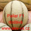 Meloun cukrový hybridní Pallar F1 (typ cantaloupe)