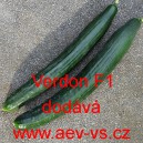 Okurka setá salátová hybridní "hadovka" do skleníku Verdon F1