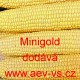 Kukuřice cukrová Minigold