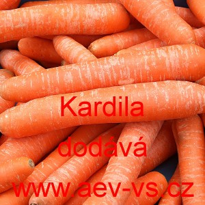 Mrkev obecná Kardila