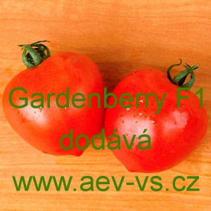 Rajče tyčkové hybridní Gardenberry F1