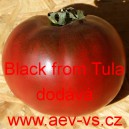 Rajče tyčkové Black from Tula