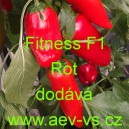 Paprika roční zeleninová Fitness F1 Rot