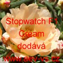 Šrucha velkokvětá Stopwatch F1 Cream