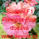 Šrucha velkokvětá Sundial F1 Princess Pink