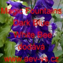 Ostrožka vyvýšená Magic Fountains Dark Blue White Bee