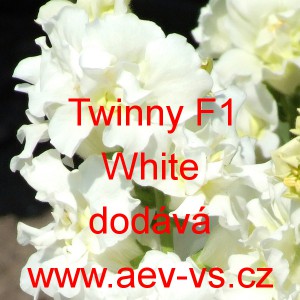 Hledík větší Twinny F1 White