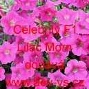 Petúnie mnohokvětá Celebrity F1 Lilac Morn 