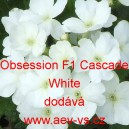 Sporýš zahradní, zkřížený Obsession F1 Cascade White