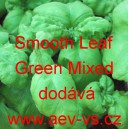 Bazalka pravá vonná Smooth Leaf Green Mixed