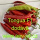 Paprika roční zeleninová hybridní Tongua F1