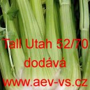 Celer řapíkatý Tall Utah 52/70