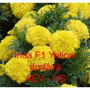 Aksamitník vzpřímený Inca F1 Yellow