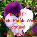 Violka ostruhatá Floral F1 White Purple Wing
