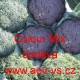 Brokolice Colour Mix