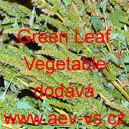 Laskavec trojbarevný Green Leaf Vegetable