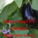 Lilek vejcoplodý baklažán hybridní Black Pearl F1