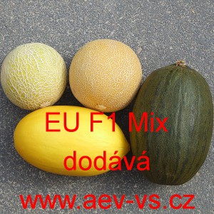 Meloun cukrový hybridní EU F1 Mix