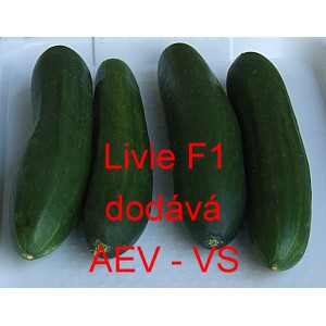Okurka setá salátová hybridní Livie F1