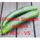 Okurka setá salátová čínská Chinese Slangen