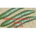 Okurka setá salátová hybridní "hadovka" na záhon Burpless Tasty Green F1