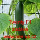 Okurka setá salátová hybridní "hadovka" do skleníku Twenty F1