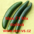 Okurka setá salátová hybridní "hadovka" do skleníku Maxi F1 Mix