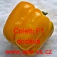 Paprika roční zeleninová hybridní Coletti F1 precisem