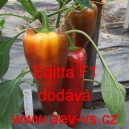 Paprika roční zeleninová hybridní Editta F1 precisem