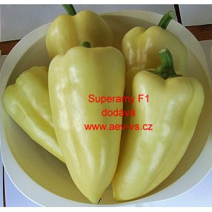 Paprika roční zeleninová hybridní Superamy F1