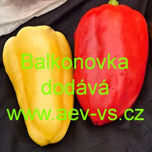 Paprika roční zeleninová Balkonovka