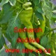 Paprika roční zeleninová Semaroh