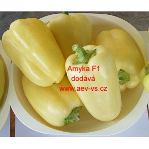 Paprika roční zeleninová hybridní Amyka F1