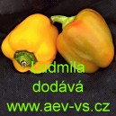Paprika roční zeleninová Ludmila