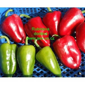 Paprika roční zeleninová Rubinova