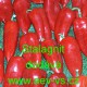 Paprika roční zeleninová Stalagnit