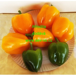 Paprika roční zeleninová Afrodita