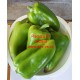 Paprika roční zeleninová hybridní Raduza F1