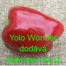 Paprika roční zeleninová Yolo Wonder