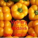Paprika roční zeleninová Mystery