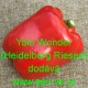 Paprika roční zeleninová Yolo Wonder (Heidelberger Riesen) precisem