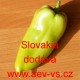 Paprika roční zeleninová Slovakia