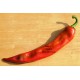 Paprika roční zeleninová hybridní pálivá Nour F1 